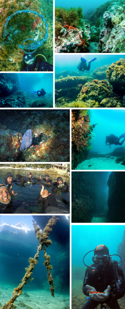 Mosaïque de photos sous-marines en plongée